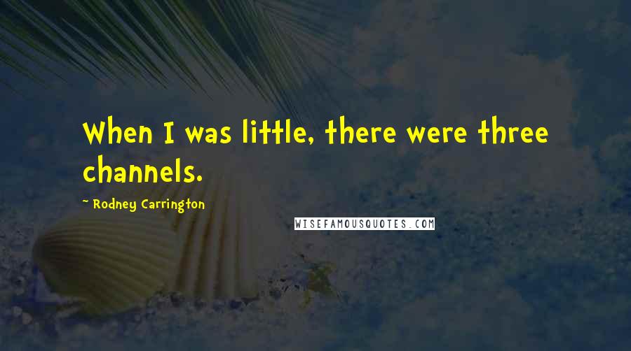 Rodney Carrington Quotes: When I was little, there were three channels.