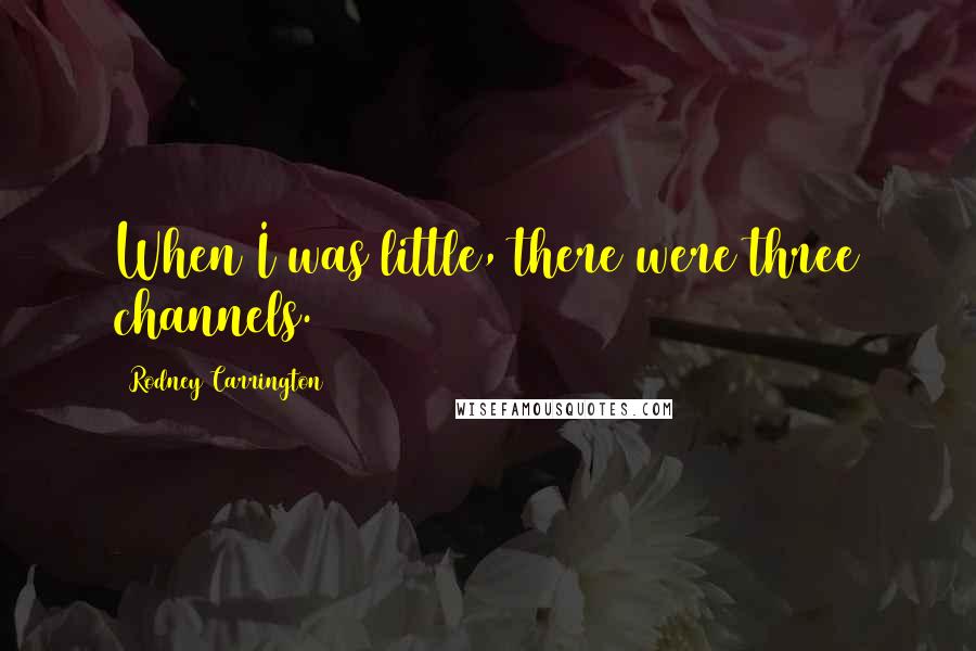Rodney Carrington Quotes: When I was little, there were three channels.