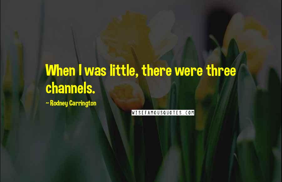 Rodney Carrington Quotes: When I was little, there were three channels.