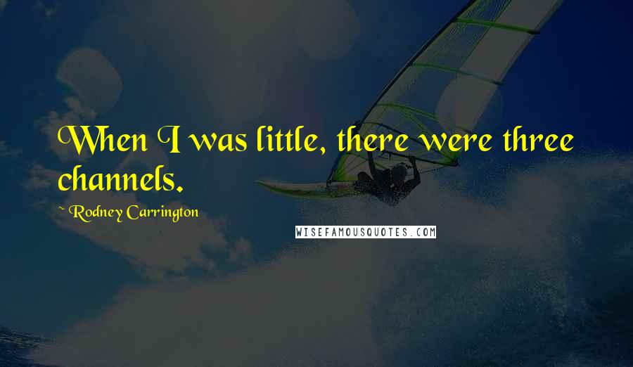 Rodney Carrington Quotes: When I was little, there were three channels.
