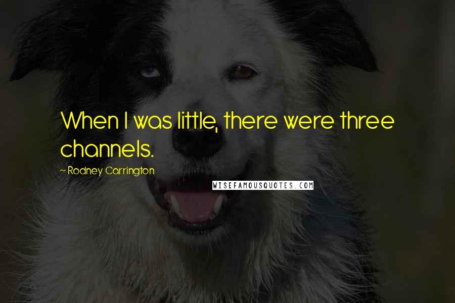 Rodney Carrington Quotes: When I was little, there were three channels.
