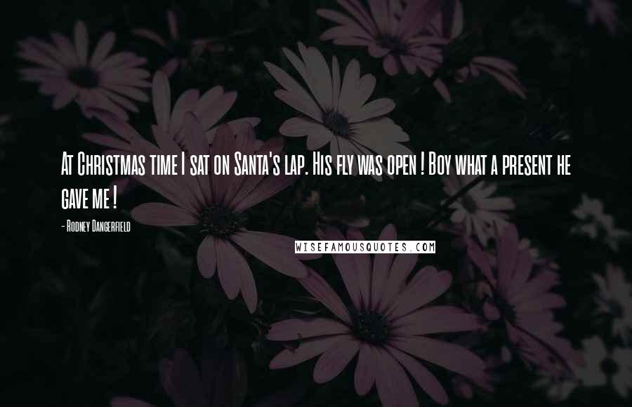 Rodney Dangerfield Quotes: At Christmas time I sat on Santa's lap. His fly was open ! Boy what a present he gave me !