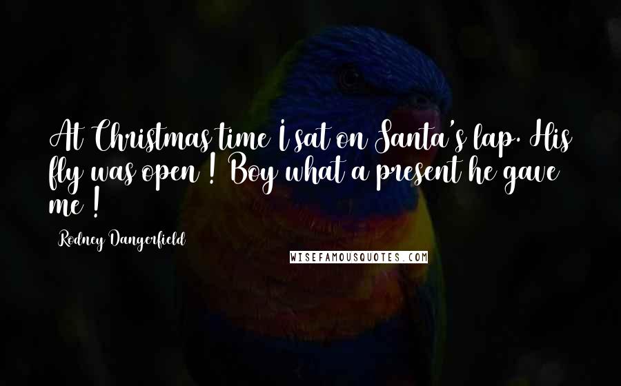 Rodney Dangerfield Quotes: At Christmas time I sat on Santa's lap. His fly was open ! Boy what a present he gave me !