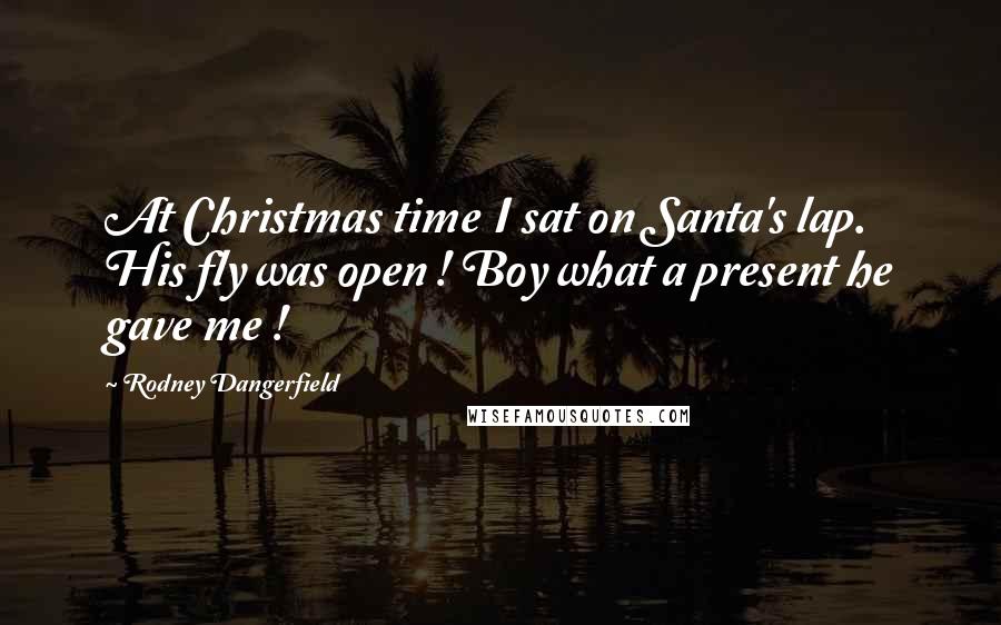 Rodney Dangerfield Quotes: At Christmas time I sat on Santa's lap. His fly was open ! Boy what a present he gave me !