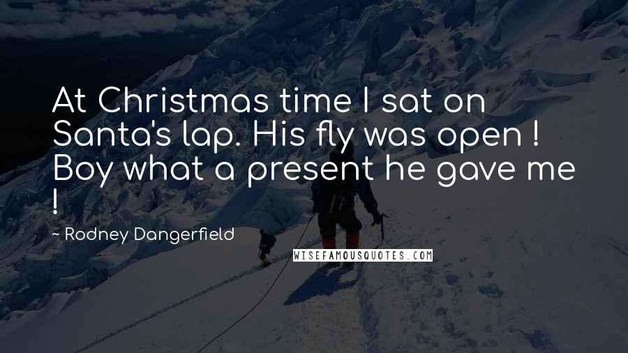 Rodney Dangerfield Quotes: At Christmas time I sat on Santa's lap. His fly was open ! Boy what a present he gave me !