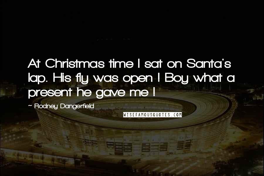 Rodney Dangerfield Quotes: At Christmas time I sat on Santa's lap. His fly was open ! Boy what a present he gave me !