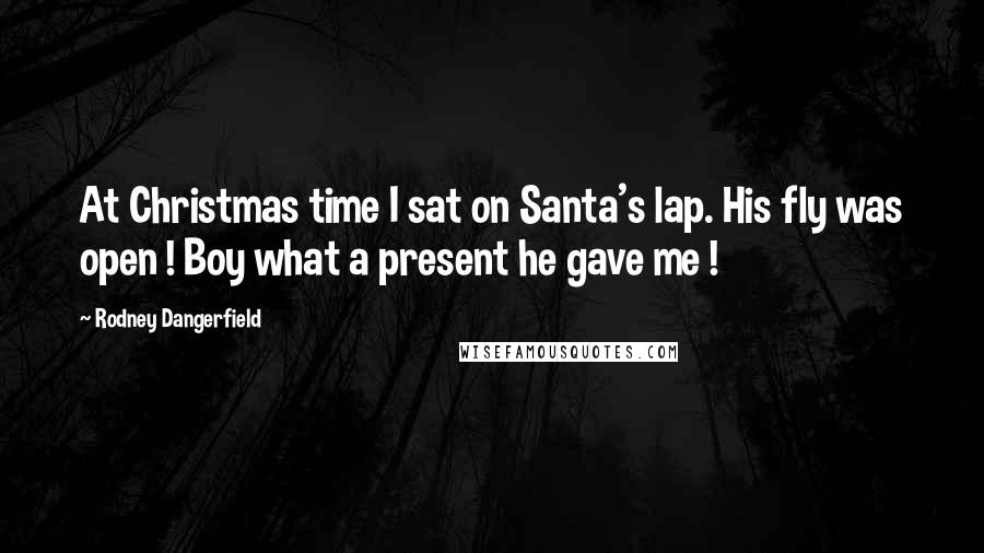 Rodney Dangerfield Quotes: At Christmas time I sat on Santa's lap. His fly was open ! Boy what a present he gave me !