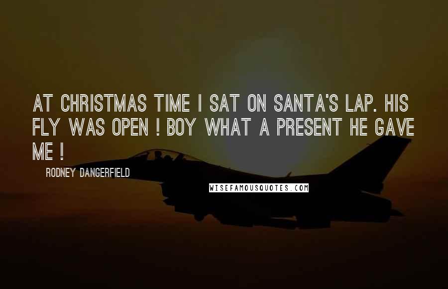 Rodney Dangerfield Quotes: At Christmas time I sat on Santa's lap. His fly was open ! Boy what a present he gave me !