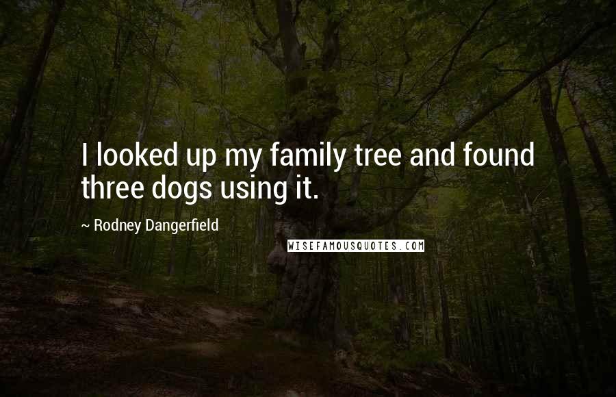 Rodney Dangerfield Quotes: I looked up my family tree and found three dogs using it.
