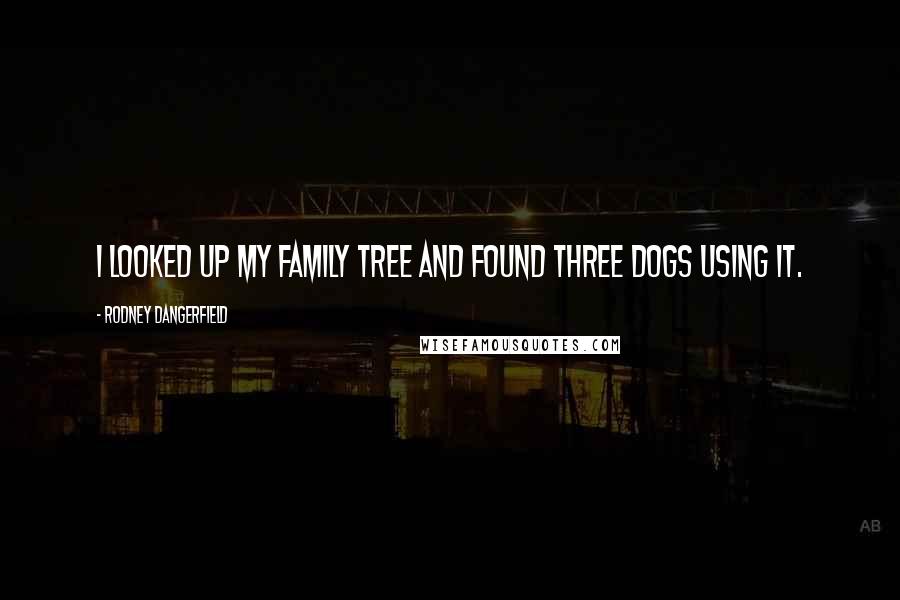 Rodney Dangerfield Quotes: I looked up my family tree and found three dogs using it.