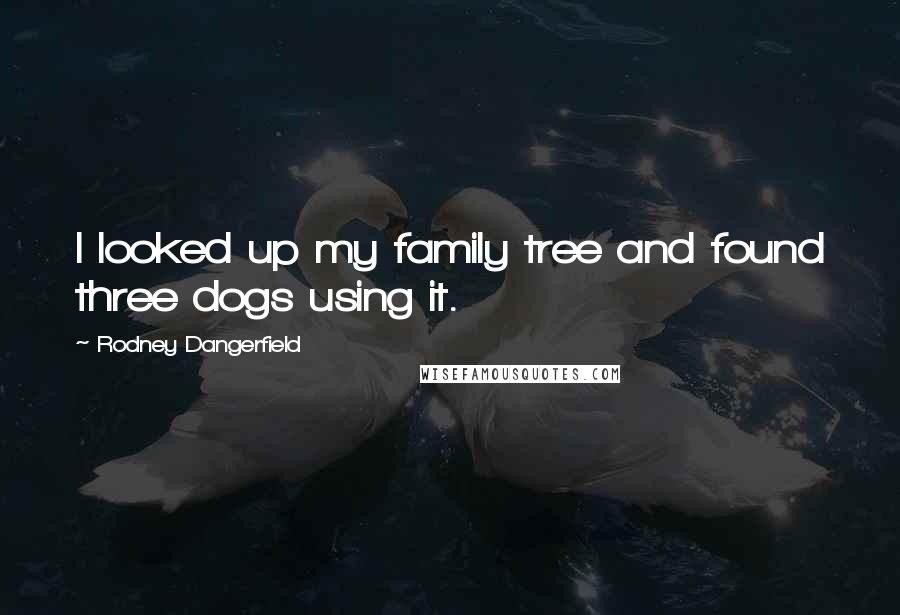 Rodney Dangerfield Quotes: I looked up my family tree and found three dogs using it.