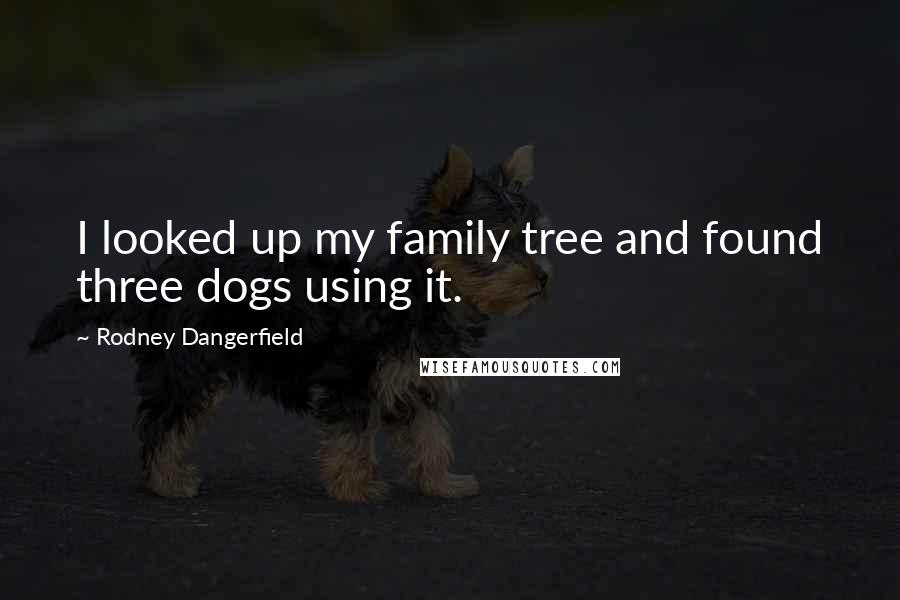 Rodney Dangerfield Quotes: I looked up my family tree and found three dogs using it.