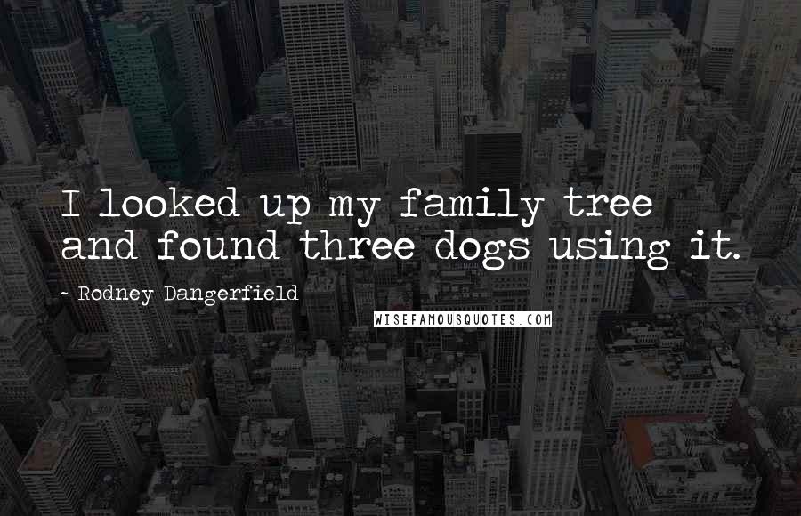 Rodney Dangerfield Quotes: I looked up my family tree and found three dogs using it.