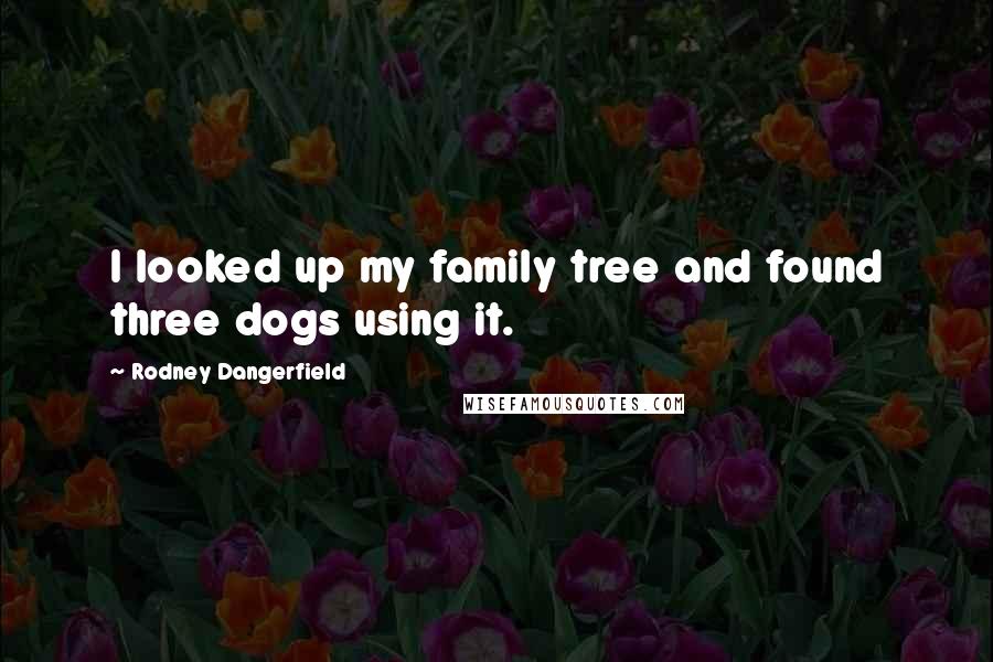 Rodney Dangerfield Quotes: I looked up my family tree and found three dogs using it.