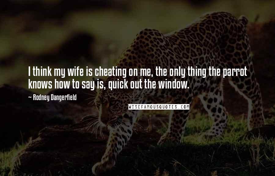 Rodney Dangerfield Quotes: I think my wife is cheating on me, the only thing the parrot knows how to say is, quick out the window.