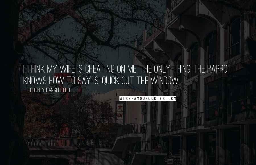 Rodney Dangerfield Quotes: I think my wife is cheating on me, the only thing the parrot knows how to say is, quick out the window.