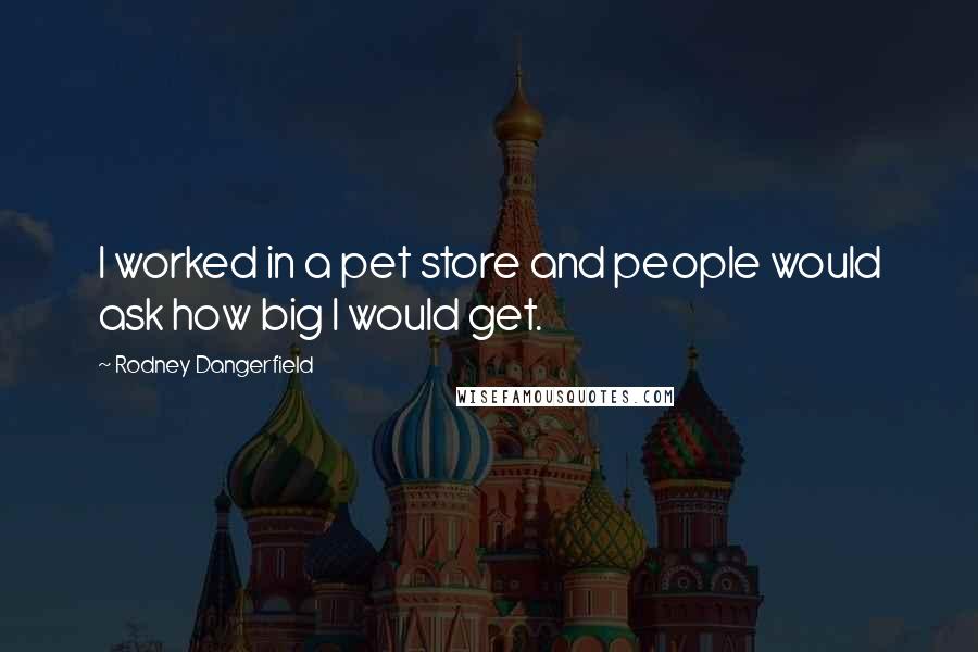 Rodney Dangerfield Quotes: I worked in a pet store and people would ask how big I would get.