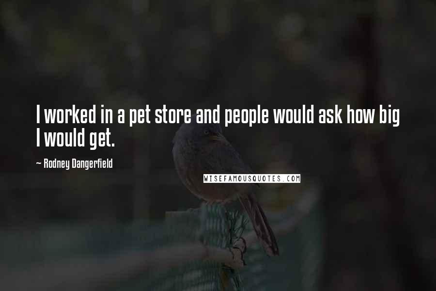 Rodney Dangerfield Quotes: I worked in a pet store and people would ask how big I would get.