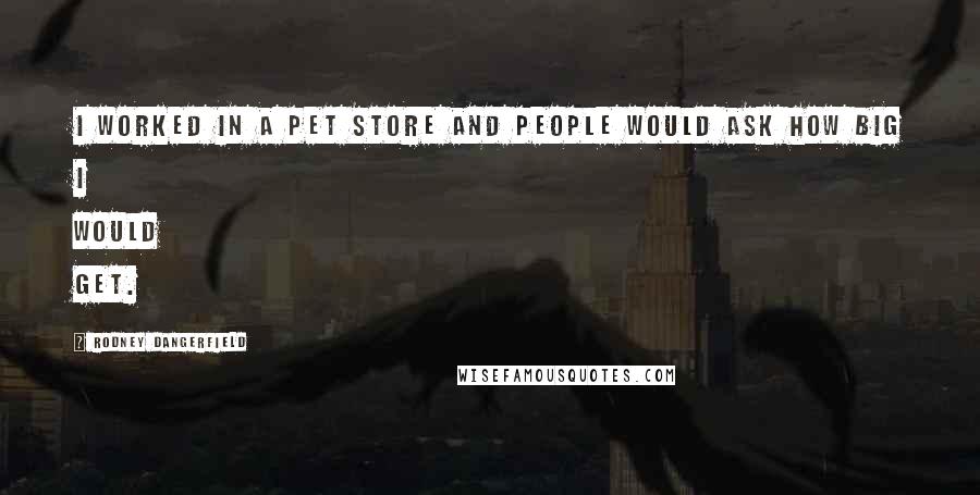 Rodney Dangerfield Quotes: I worked in a pet store and people would ask how big I would get.