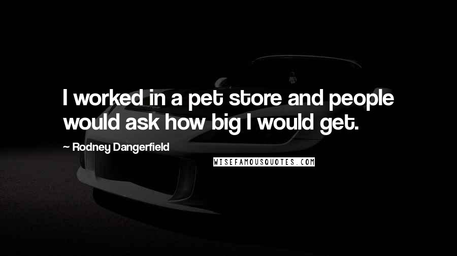 Rodney Dangerfield Quotes: I worked in a pet store and people would ask how big I would get.