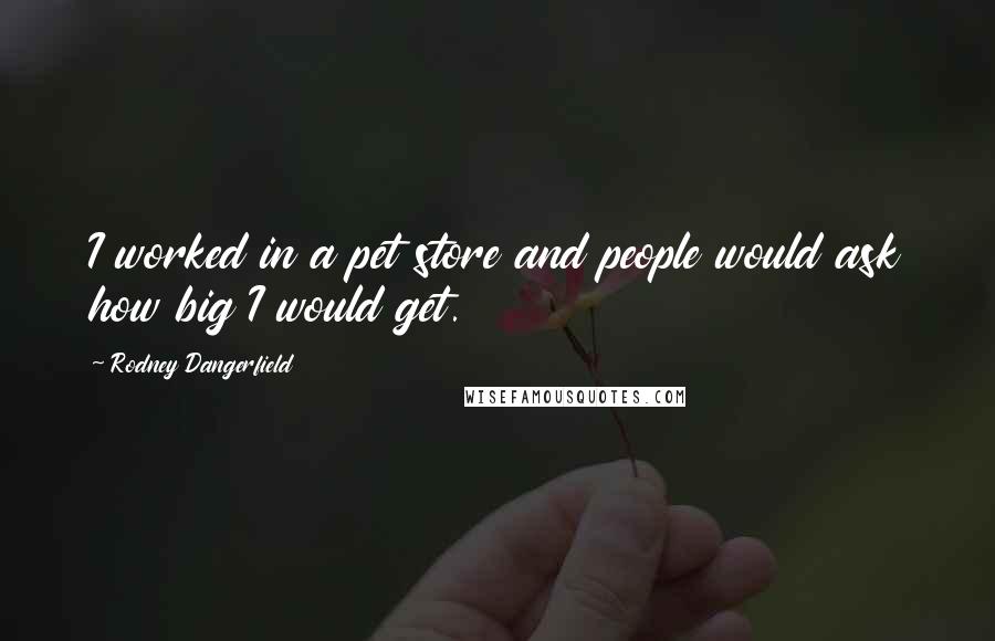 Rodney Dangerfield Quotes: I worked in a pet store and people would ask how big I would get.