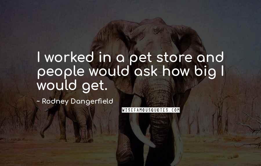 Rodney Dangerfield Quotes: I worked in a pet store and people would ask how big I would get.