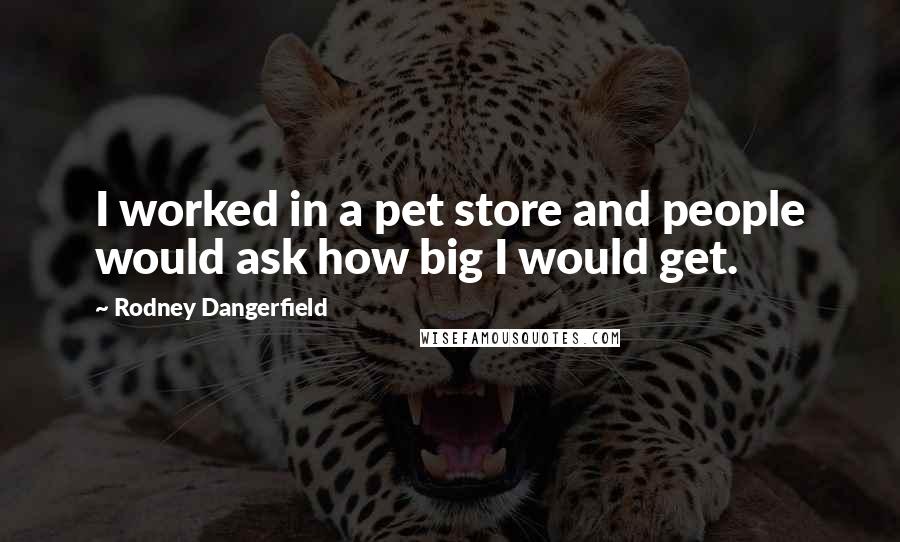 Rodney Dangerfield Quotes: I worked in a pet store and people would ask how big I would get.