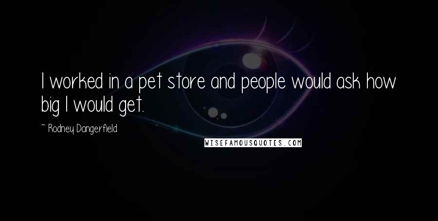 Rodney Dangerfield Quotes: I worked in a pet store and people would ask how big I would get.