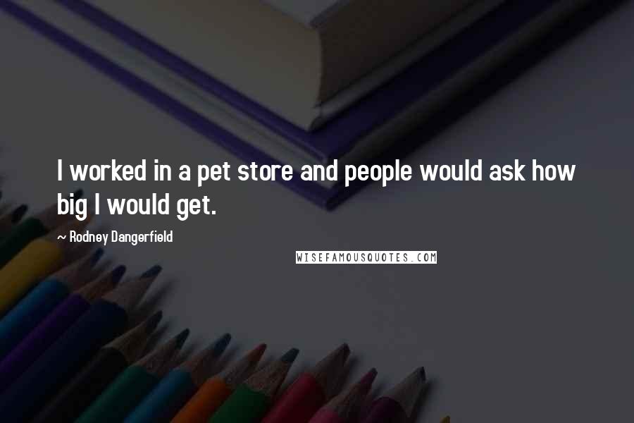 Rodney Dangerfield Quotes: I worked in a pet store and people would ask how big I would get.