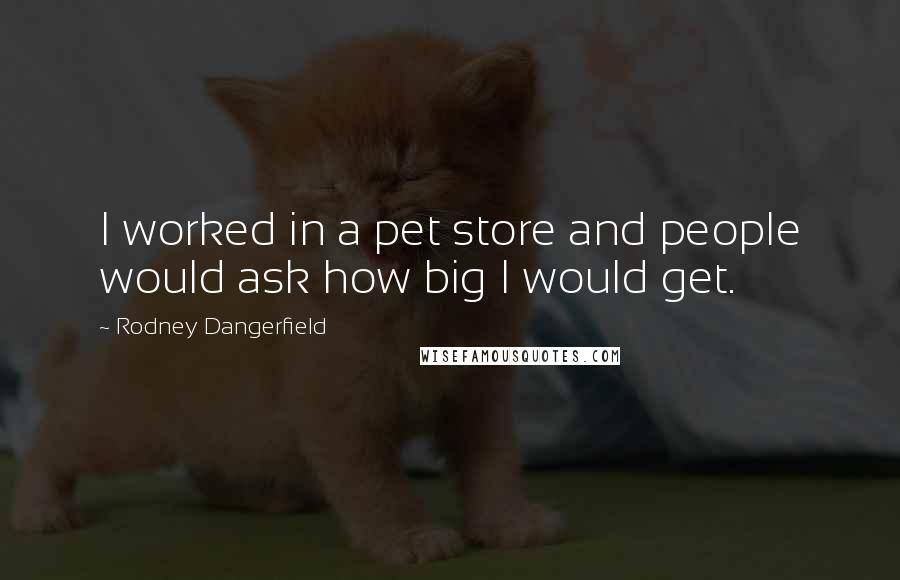 Rodney Dangerfield Quotes: I worked in a pet store and people would ask how big I would get.