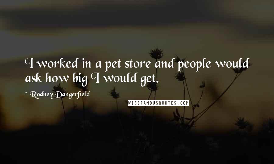 Rodney Dangerfield Quotes: I worked in a pet store and people would ask how big I would get.