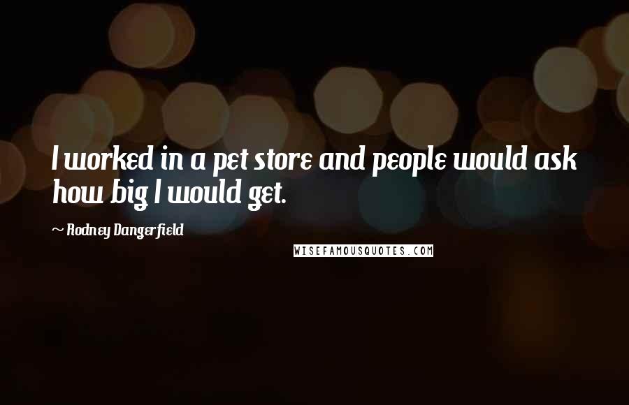 Rodney Dangerfield Quotes: I worked in a pet store and people would ask how big I would get.