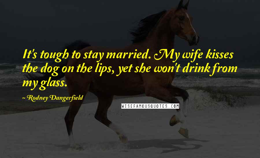 Rodney Dangerfield Quotes: It's tough to stay married. My wife kisses the dog on the lips, yet she won't drink from my glass.