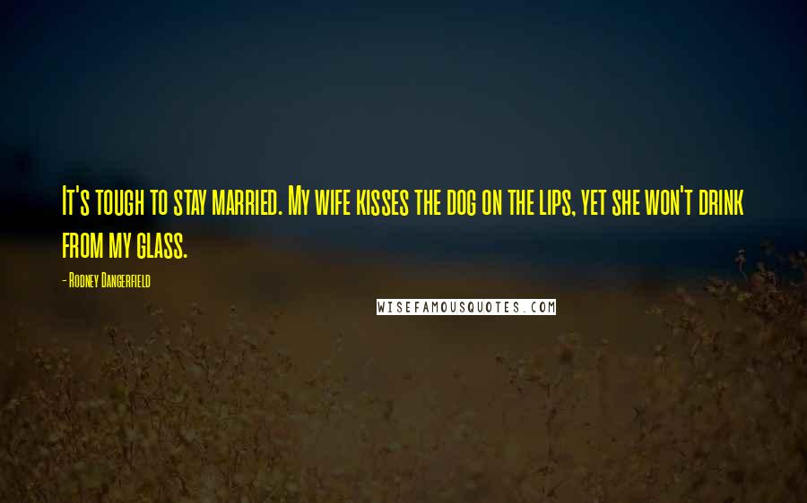 Rodney Dangerfield Quotes: It's tough to stay married. My wife kisses the dog on the lips, yet she won't drink from my glass.