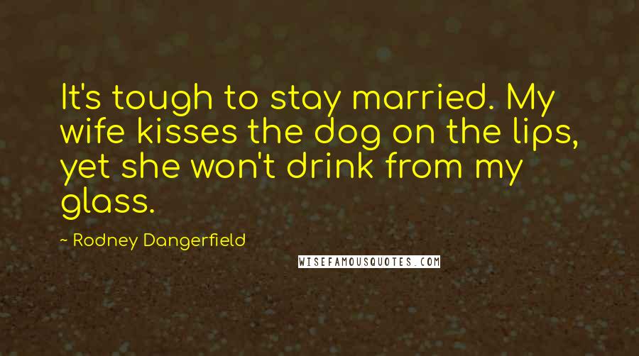 Rodney Dangerfield Quotes: It's tough to stay married. My wife kisses the dog on the lips, yet she won't drink from my glass.