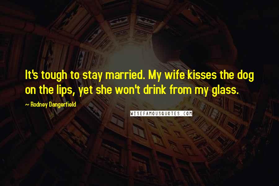 Rodney Dangerfield Quotes: It's tough to stay married. My wife kisses the dog on the lips, yet she won't drink from my glass.