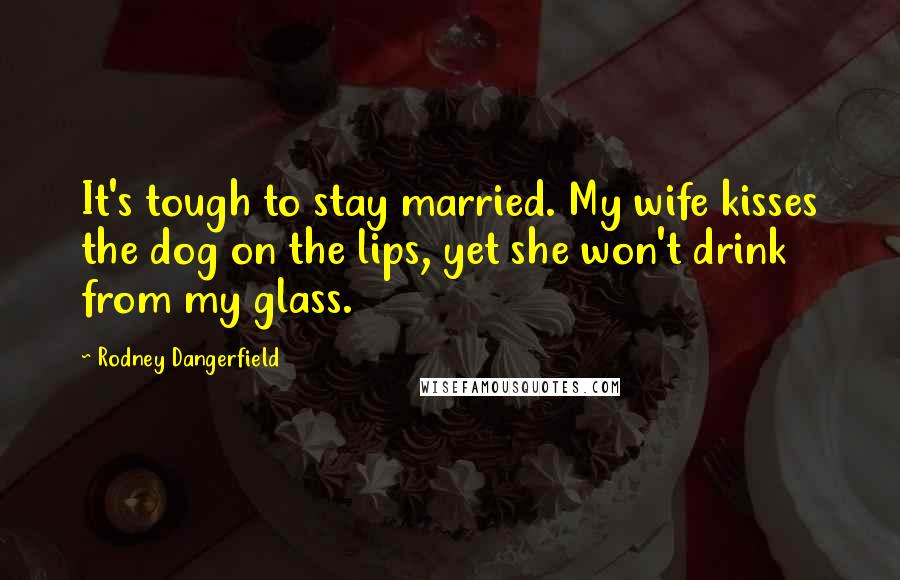 Rodney Dangerfield Quotes: It's tough to stay married. My wife kisses the dog on the lips, yet she won't drink from my glass.