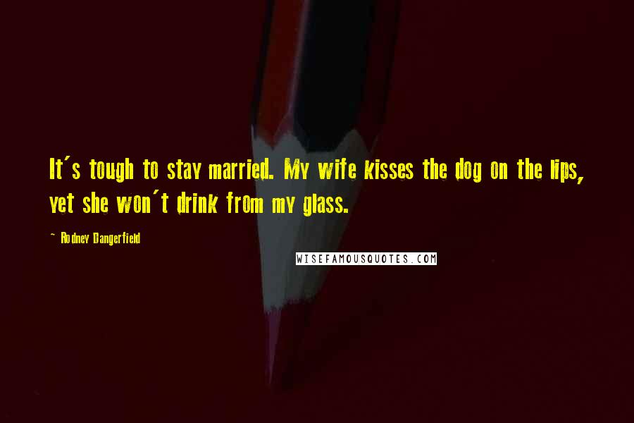 Rodney Dangerfield Quotes: It's tough to stay married. My wife kisses the dog on the lips, yet she won't drink from my glass.