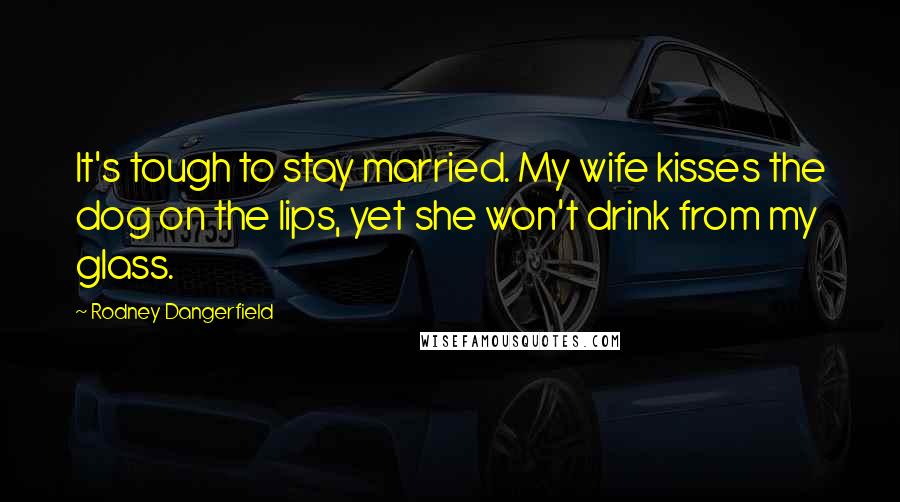 Rodney Dangerfield Quotes: It's tough to stay married. My wife kisses the dog on the lips, yet she won't drink from my glass.