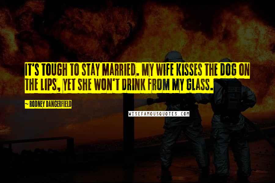 Rodney Dangerfield Quotes: It's tough to stay married. My wife kisses the dog on the lips, yet she won't drink from my glass.