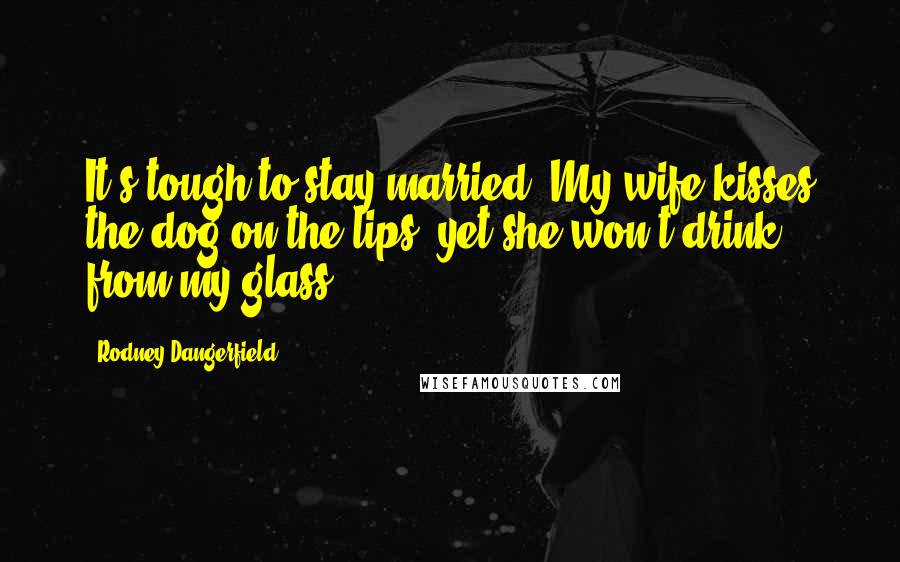 Rodney Dangerfield Quotes: It's tough to stay married. My wife kisses the dog on the lips, yet she won't drink from my glass.