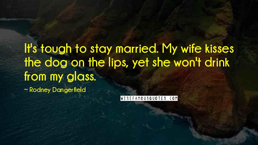 Rodney Dangerfield Quotes: It's tough to stay married. My wife kisses the dog on the lips, yet she won't drink from my glass.