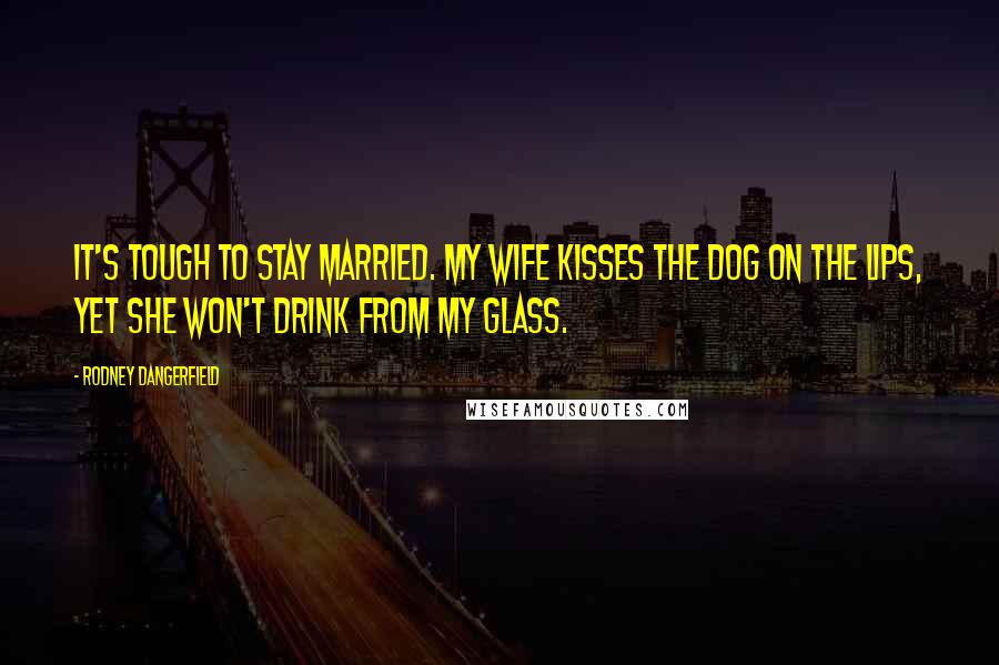 Rodney Dangerfield Quotes: It's tough to stay married. My wife kisses the dog on the lips, yet she won't drink from my glass.