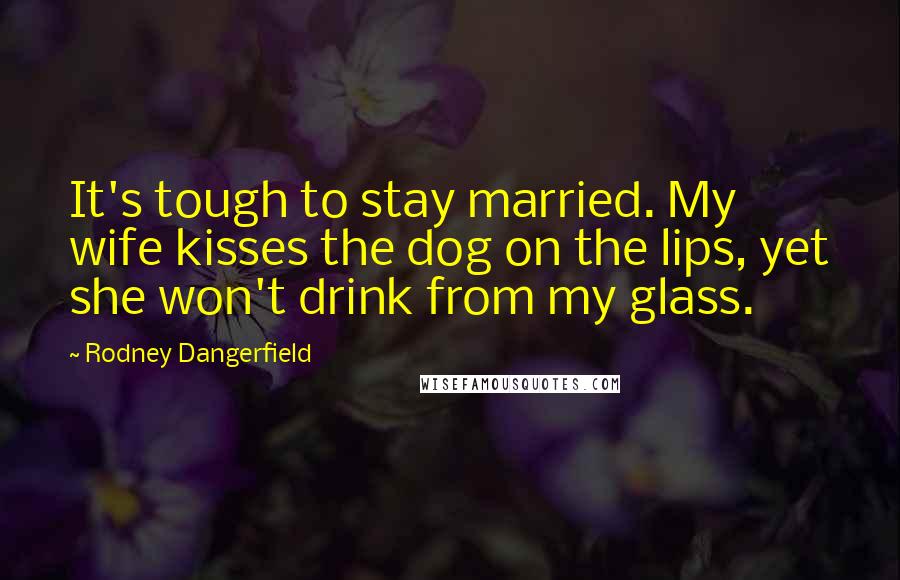 Rodney Dangerfield Quotes: It's tough to stay married. My wife kisses the dog on the lips, yet she won't drink from my glass.