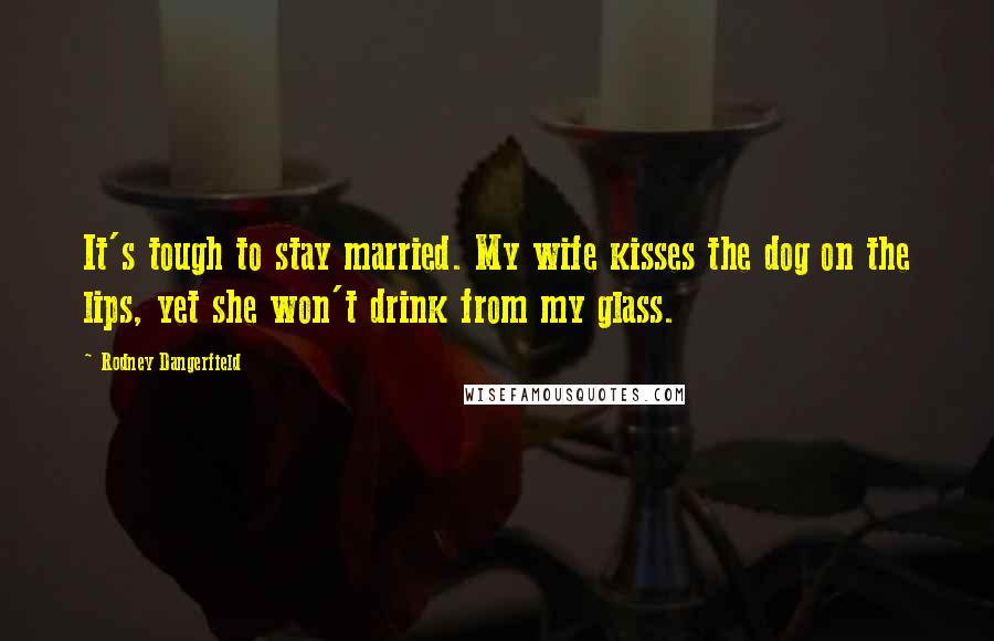 Rodney Dangerfield Quotes: It's tough to stay married. My wife kisses the dog on the lips, yet she won't drink from my glass.