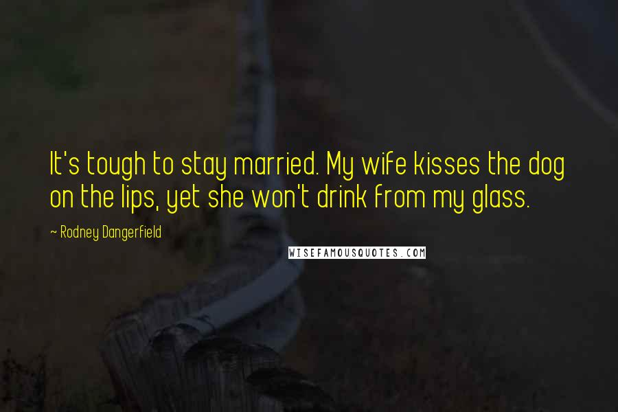 Rodney Dangerfield Quotes: It's tough to stay married. My wife kisses the dog on the lips, yet she won't drink from my glass.