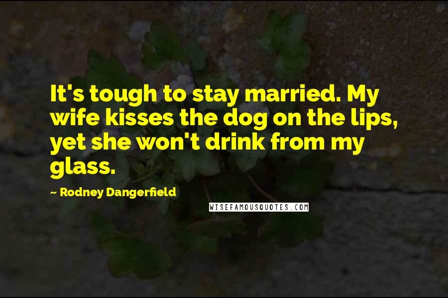Rodney Dangerfield Quotes: It's tough to stay married. My wife kisses the dog on the lips, yet she won't drink from my glass.