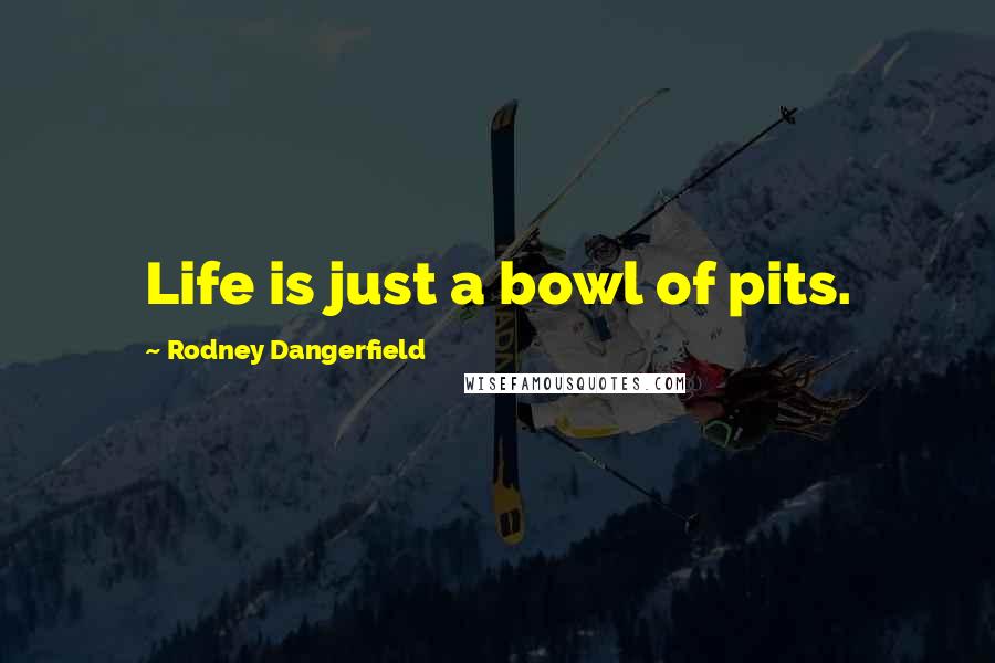Rodney Dangerfield Quotes: Life is just a bowl of pits.