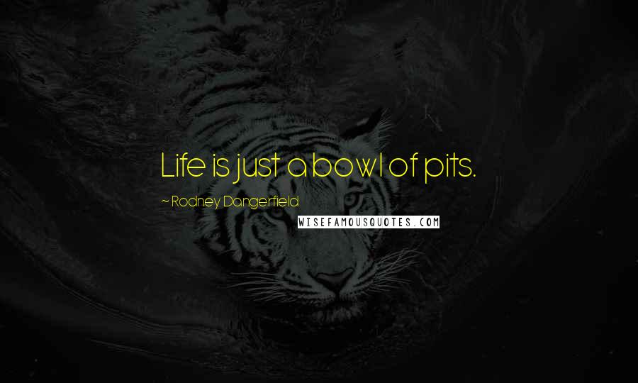 Rodney Dangerfield Quotes: Life is just a bowl of pits.