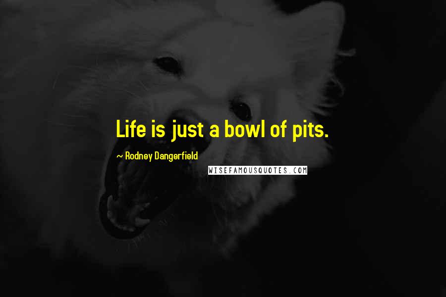 Rodney Dangerfield Quotes: Life is just a bowl of pits.